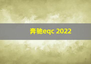 奔驰eqc 2022